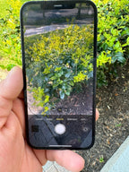 Apple iphone 12pro max 256GB unlocked 9W89