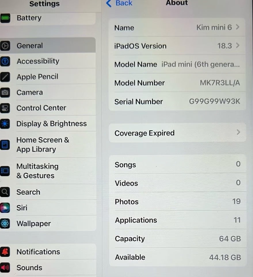 The Cutest IPad Mini 2A12