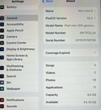 The Cutest IPad Mini 2A12