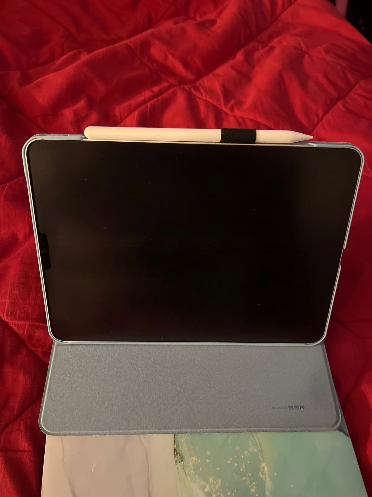 iPad Pro 11 inch 2nd gen 1TB 8F51