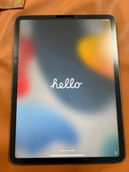 Apple iPad Pro 2nd Generation 256 GB in Space Gray 3F76