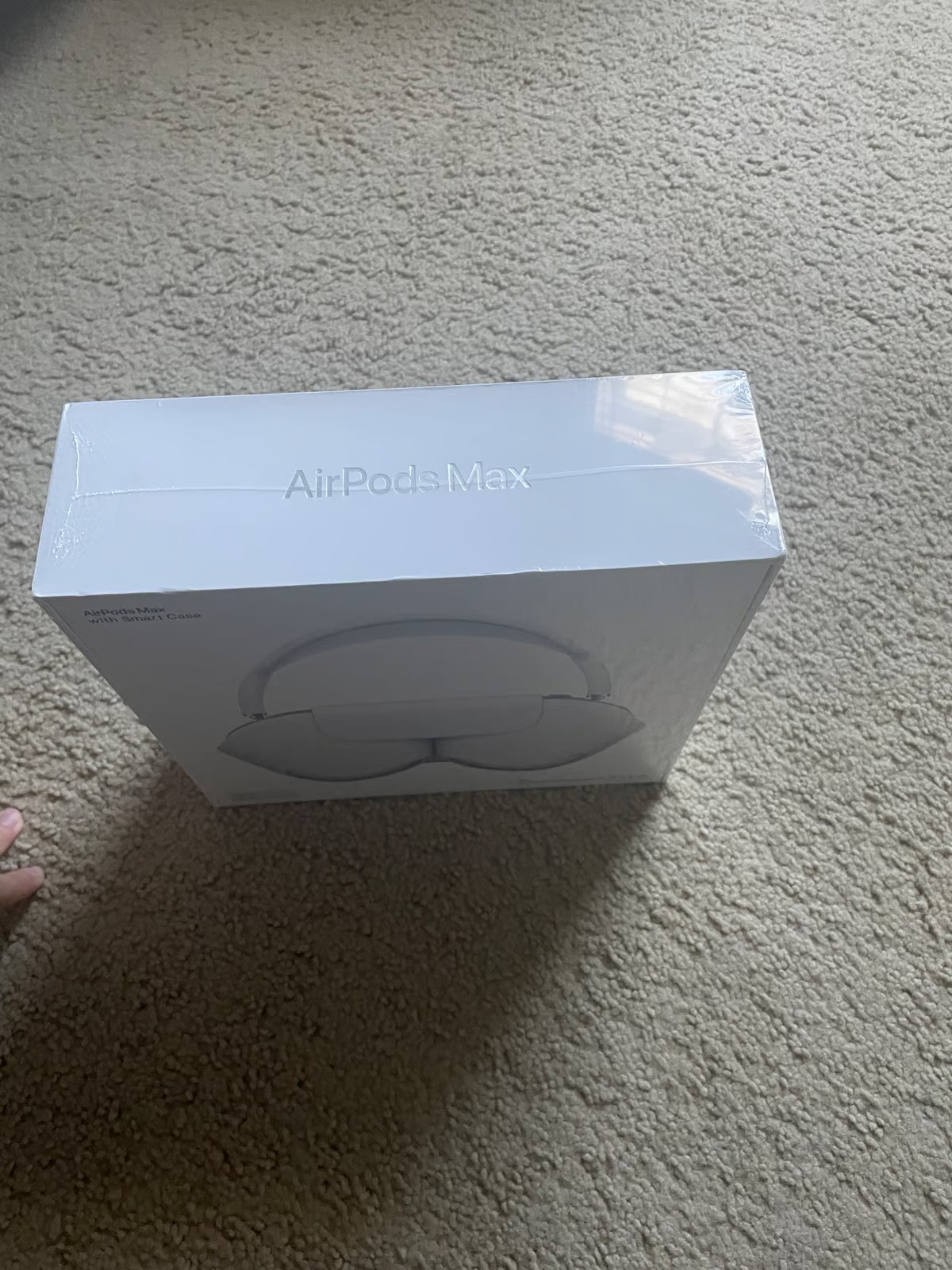 Apple AirPod max鈥檚 3D81