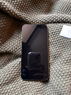 IPhone 12 Pro Max 256gb Gold Unlocked and Factory Reset 7E37