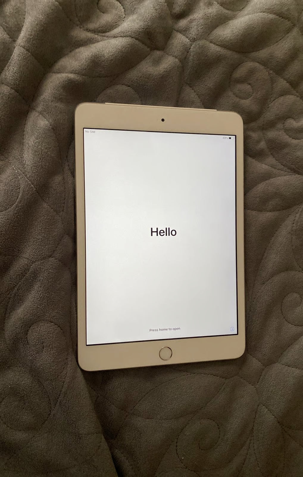 iPad mini 3rd generation 5P68