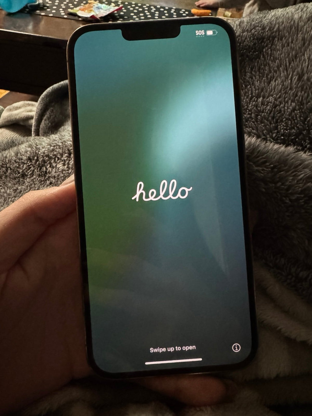 UNLOCKED iPhone 13 Pro Max 8L99