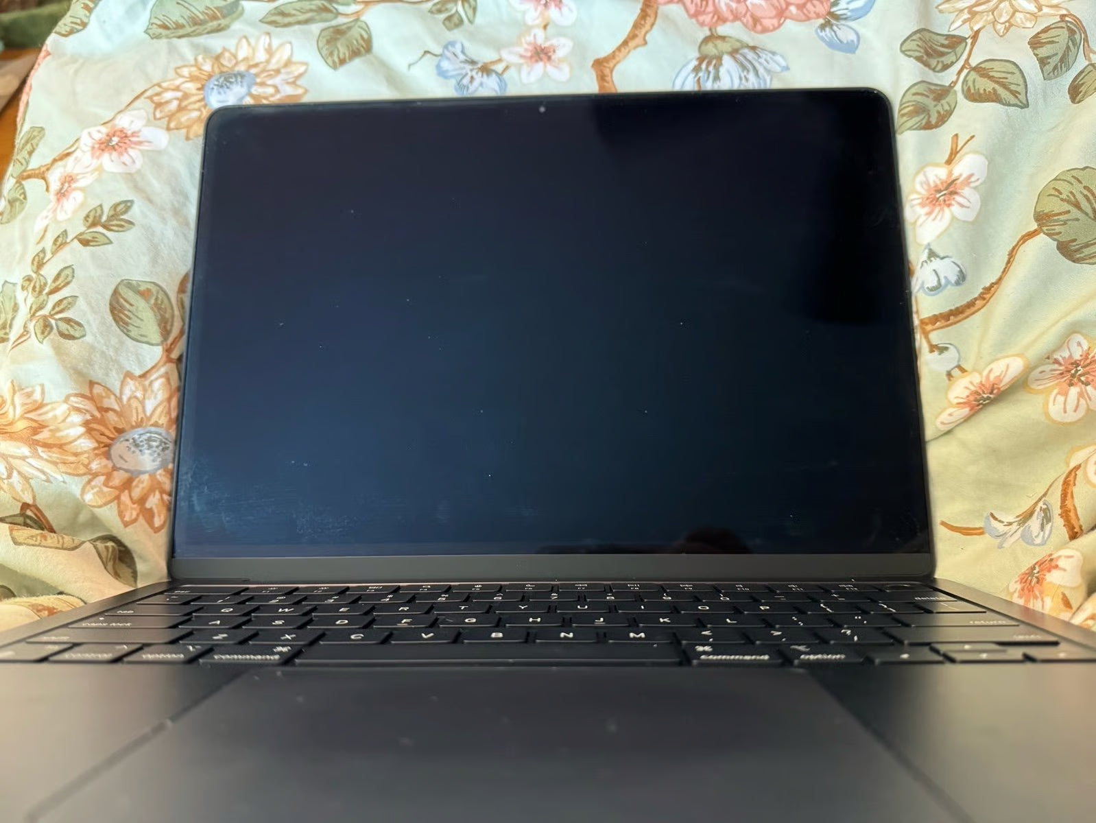Apple MacBook Air with M2 chip 13鈥?7V69