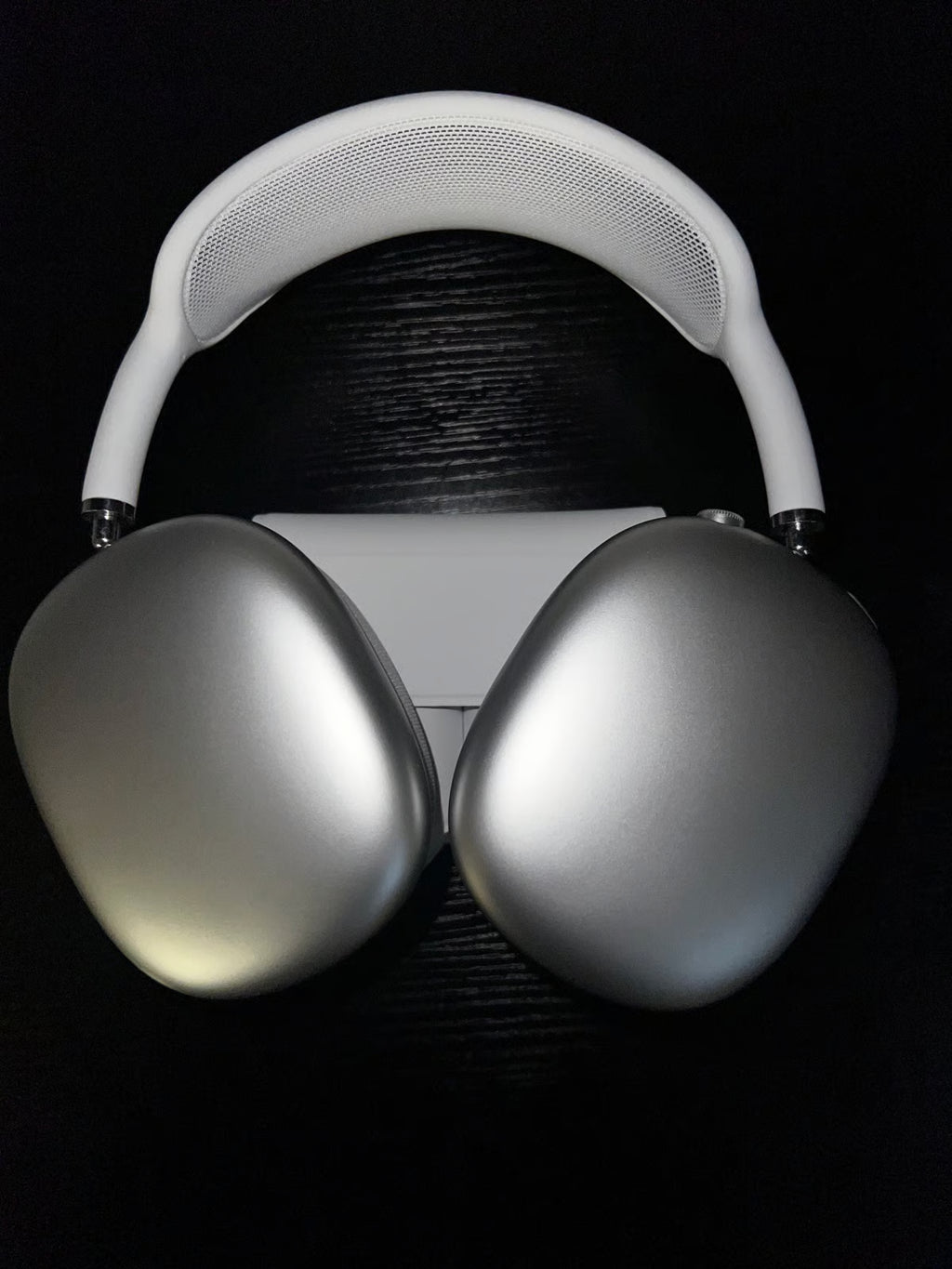 Apple AirPods Max with Smart Case in Silver 5F52