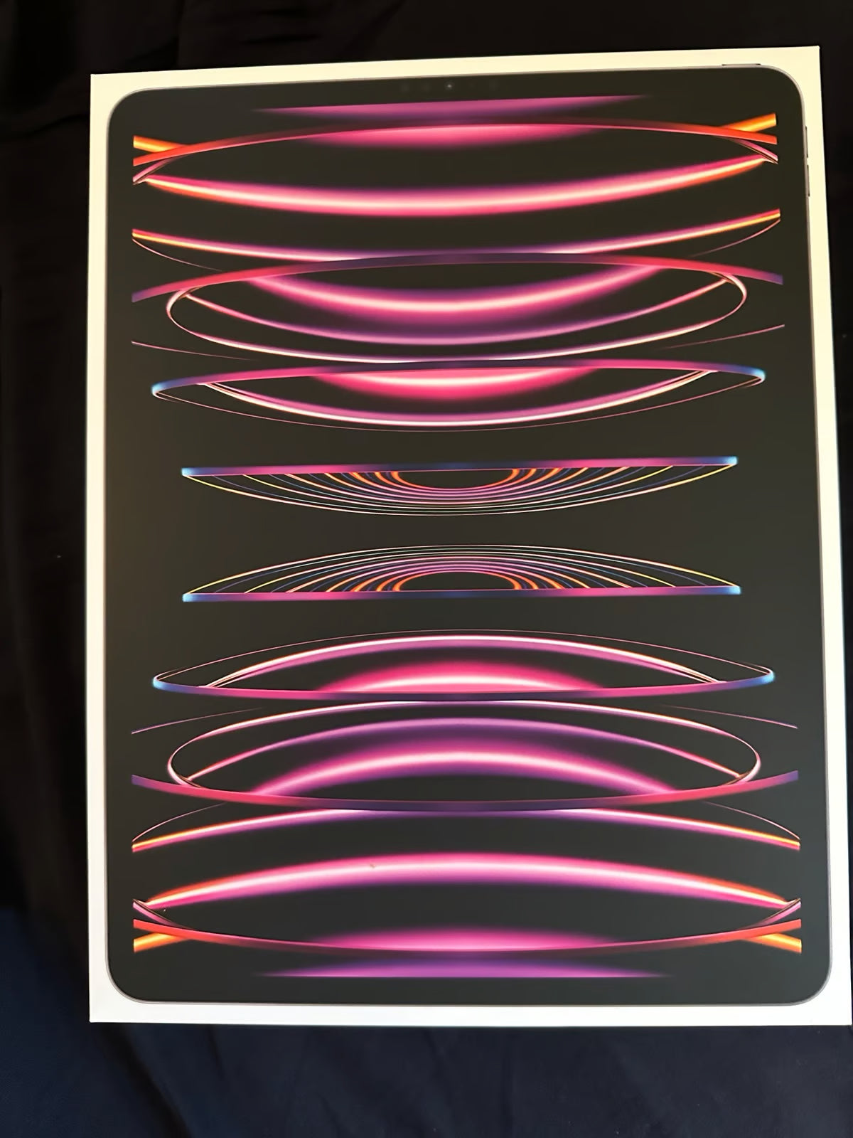 Apple iPad Pro 6th Generation 5Y61