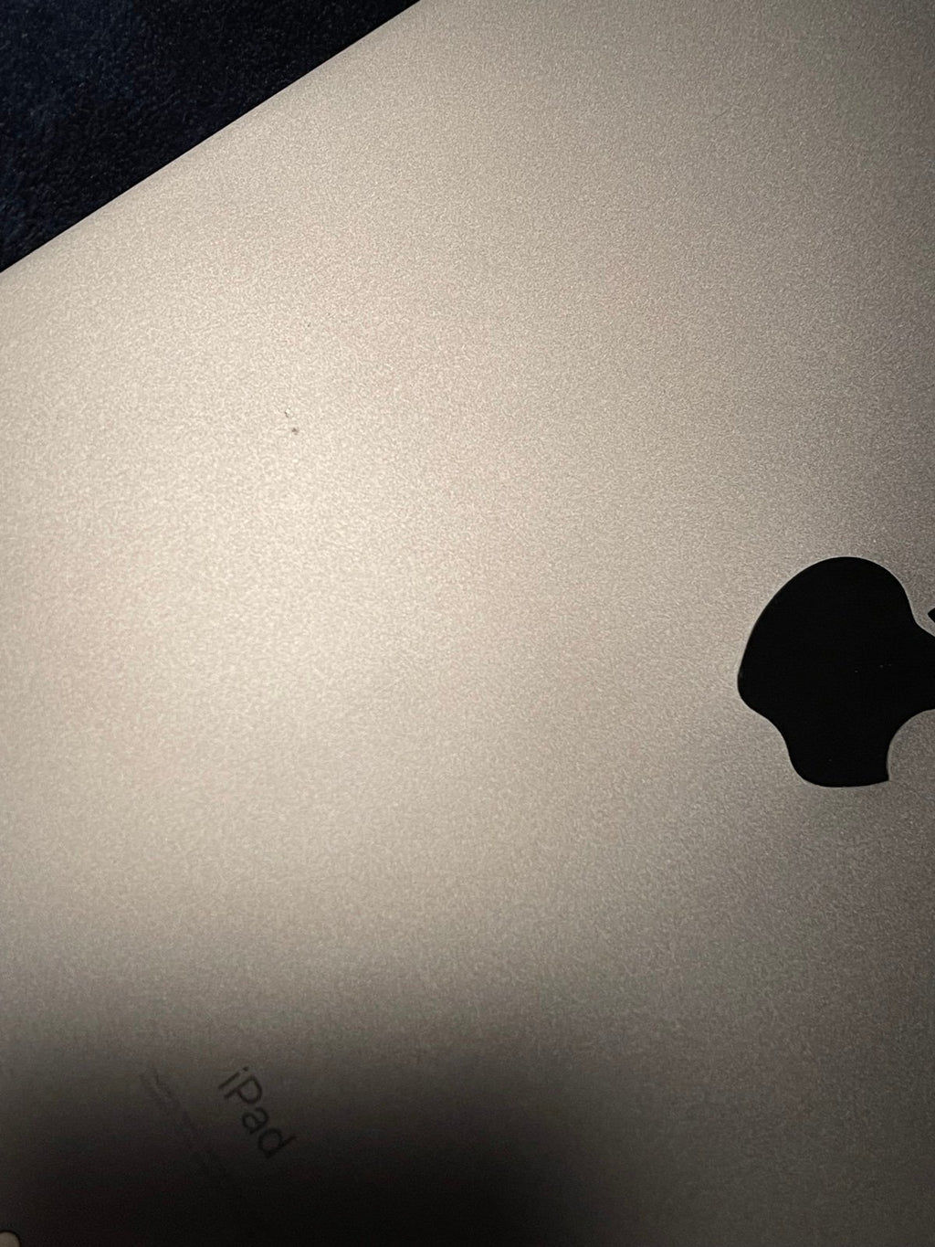 iPad Pro 12.9 4th gen 256GB Unlocked 8C76