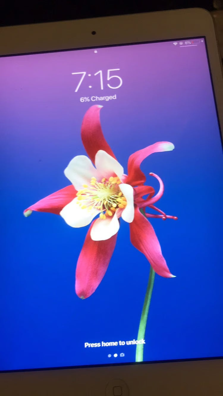 iPad mini 2nd generation Space Gray 32 G 3M55