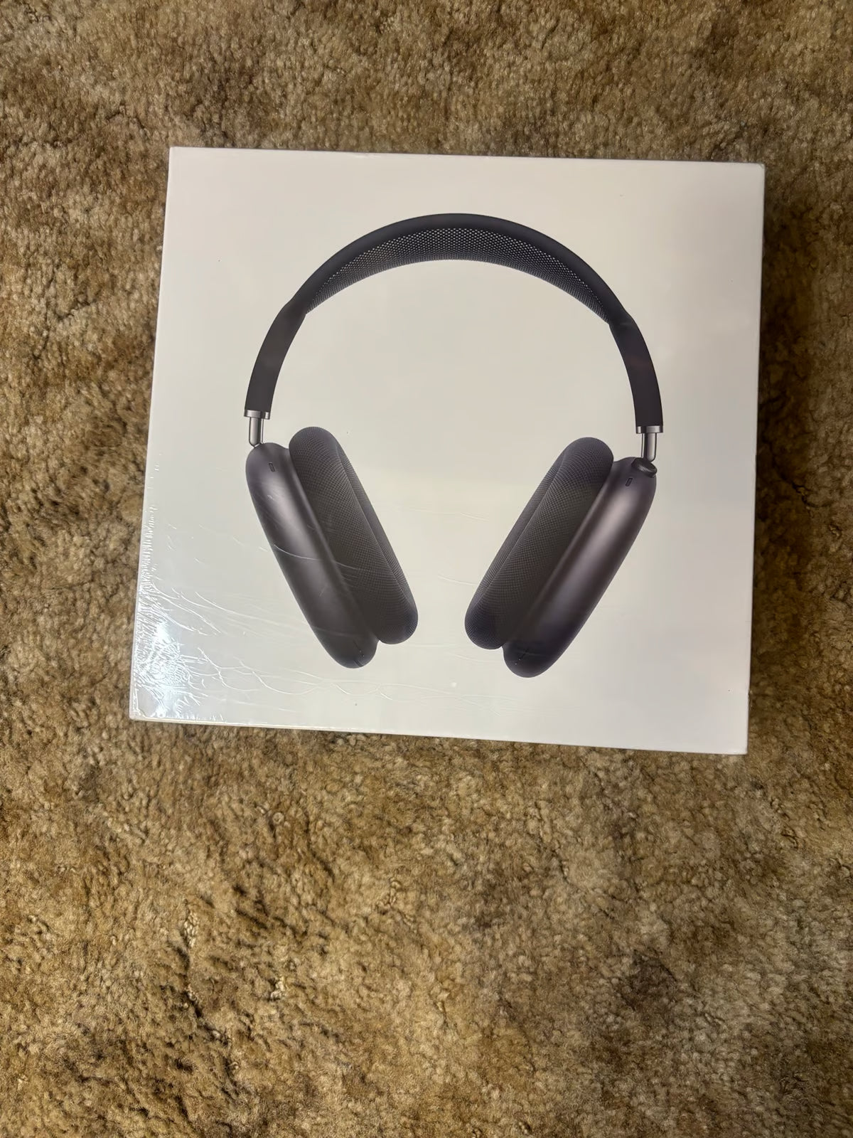 Apple AirPods Max in Space Gray 1D77