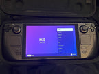 Steam Deck 256gb 6O23