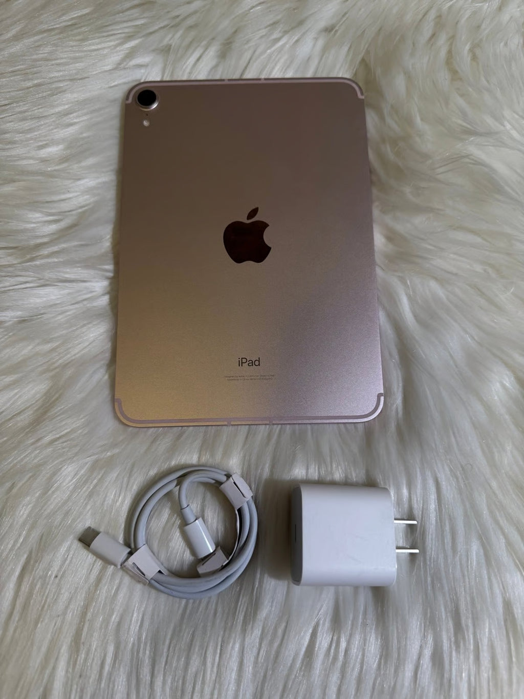 iPad Mini 6th Generation WiFi + Cellular Unlocked - Active eSim Internet Free 6U92