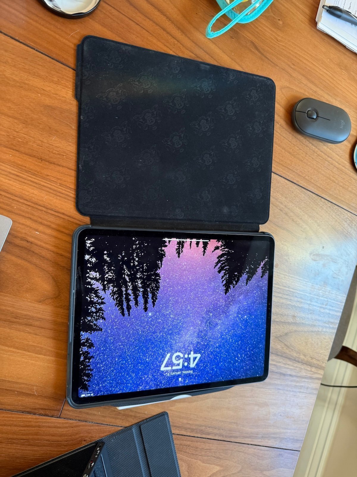 iPad Pro 12.9 inch 256 Gb 4th generation with pencil and case 2U69