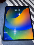 Apple iPad Pro 4th Generation 128 GB in Space Gray 7W63