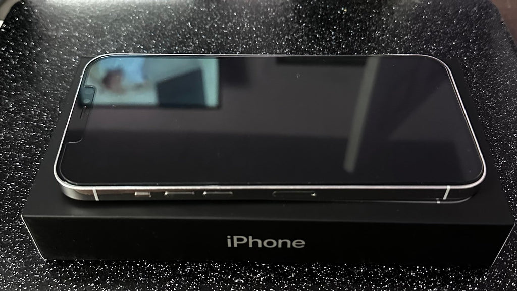 Apple iPhone 12 Pro Max 256 GB 1H73