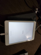 ipad mini 2C93
