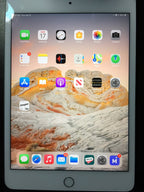 iPad mini 5C91