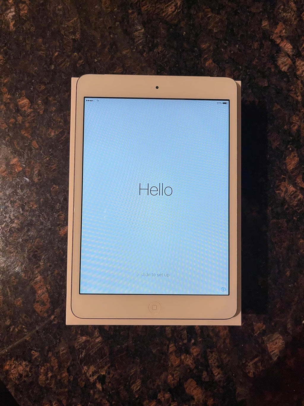 Apple iPad Mini 4th Generation 64 GB in Space Gray 8Q52