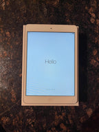 Apple iPad Mini 4th Generation 64 GB in Space Gray 8Q52