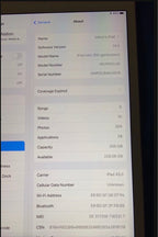 iPad mini 5&Apple pencil 2F66