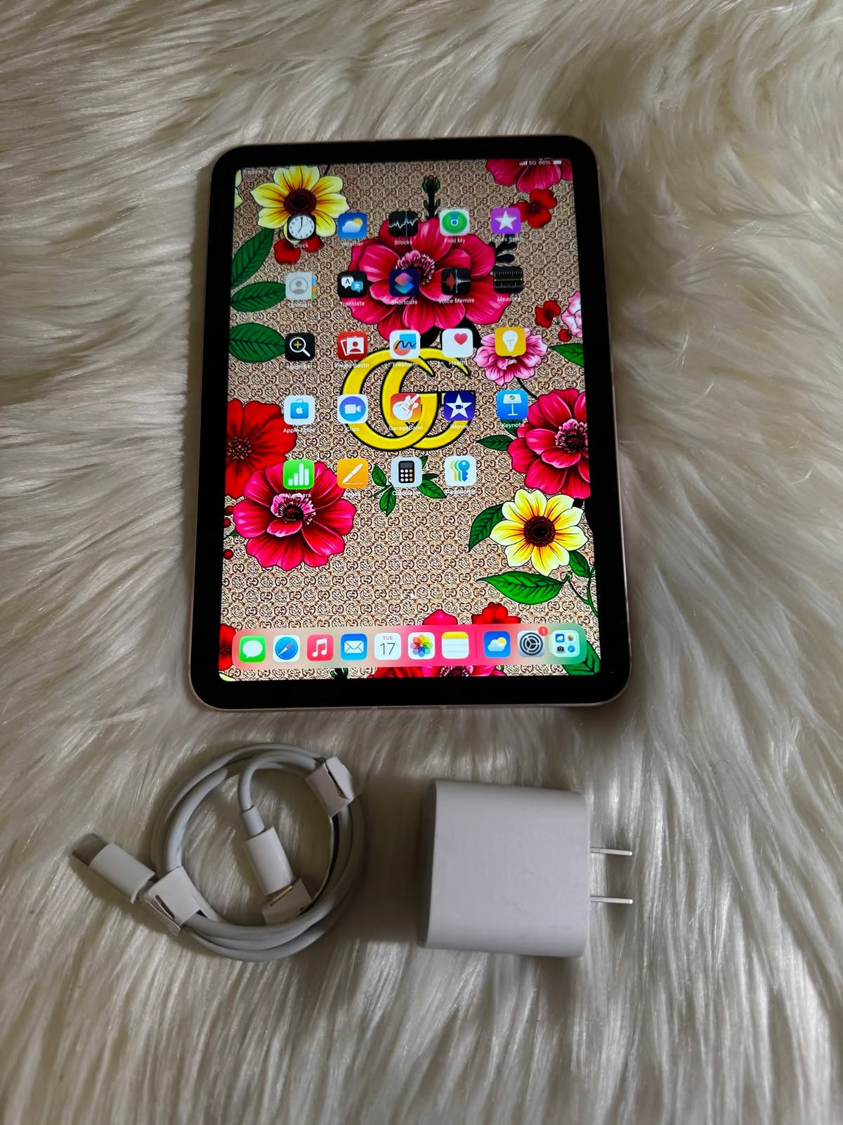 iPad Mini 6th Generation WiFi + Cellular Unlocked - Active eSim Internet Free 6U92