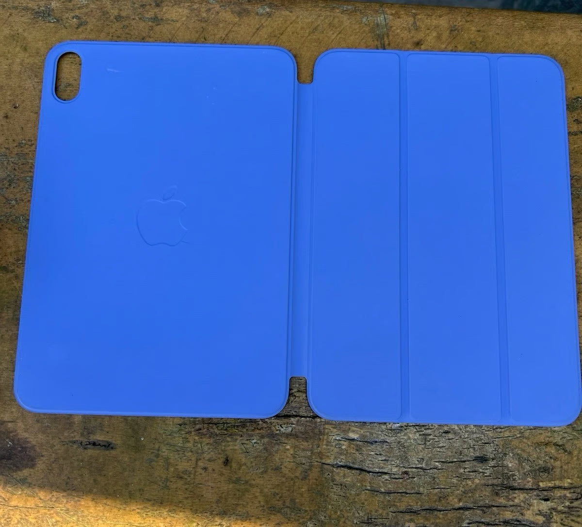 The Cutest IPad Mini 2A12