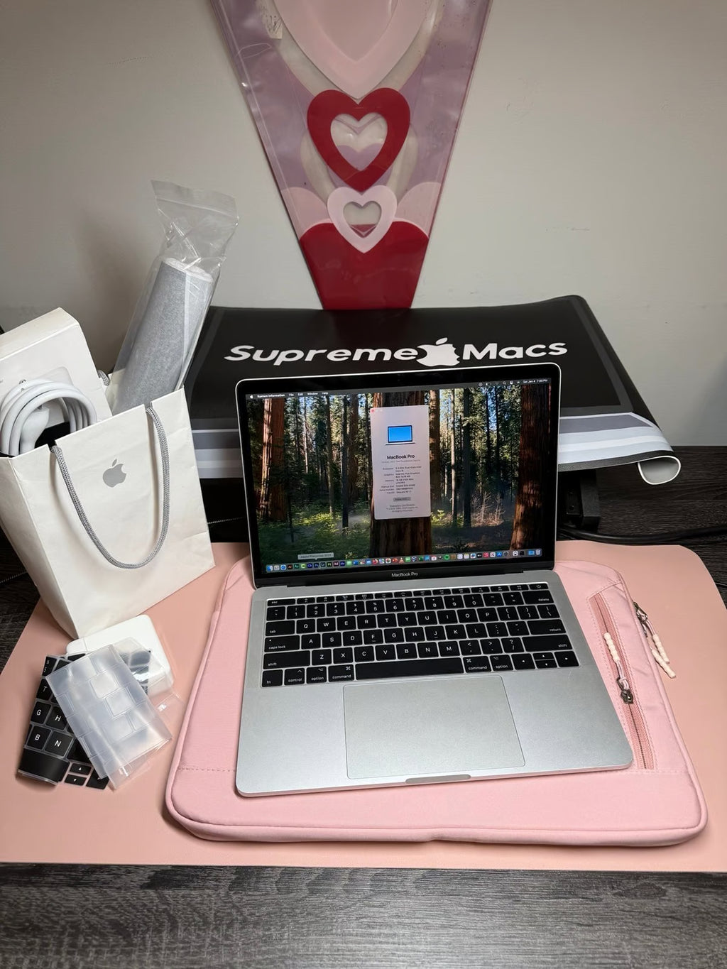 Apple MacBook Pro 13鈥?Silver 16GB RAM 1TB SSD macOS Sequoia 2024 6M79