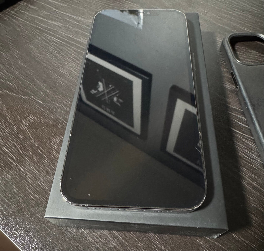 iPhone 12 Pro Max 256 GB 5G28