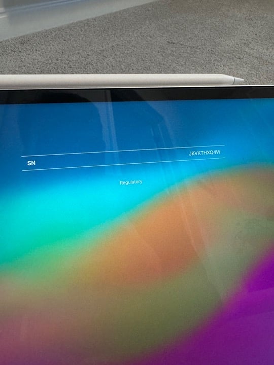 iPad Pro 12.9 in (6th Generation) 256GB - WiFi Only 8T97