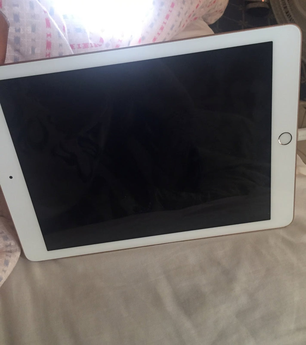 iPad Mini 5Q29