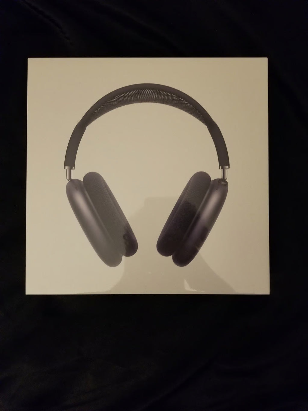 AirPod Max Gray 5J81