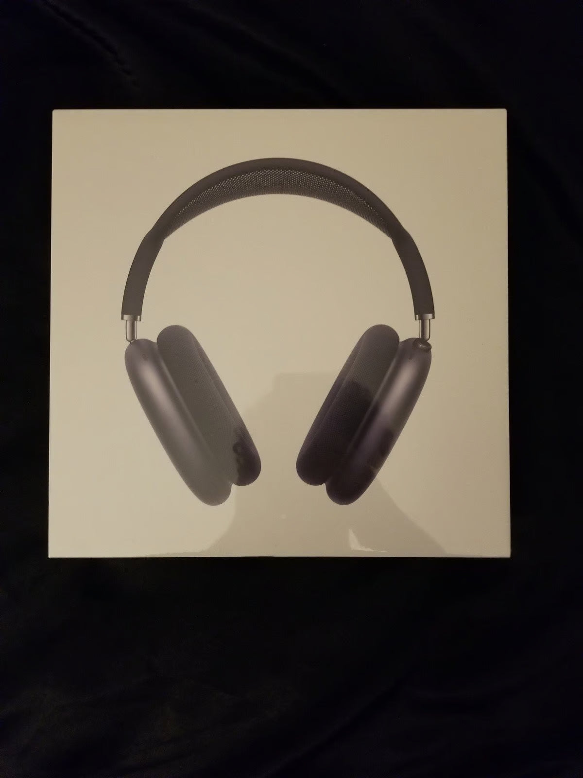 AirPod Max Gray 5J81