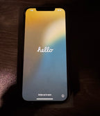 iPhone 12 Pro Max 256 GB 5G28