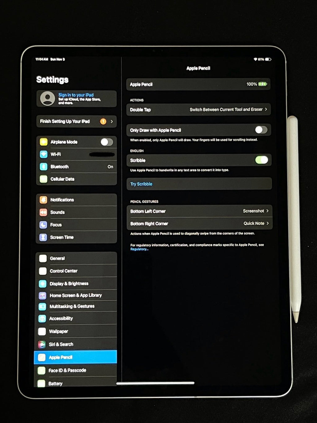 Apple iPad Pro 3rd Generation 12.9-inch Silver 256GB WiFi + Cellular Unlocked 8P81