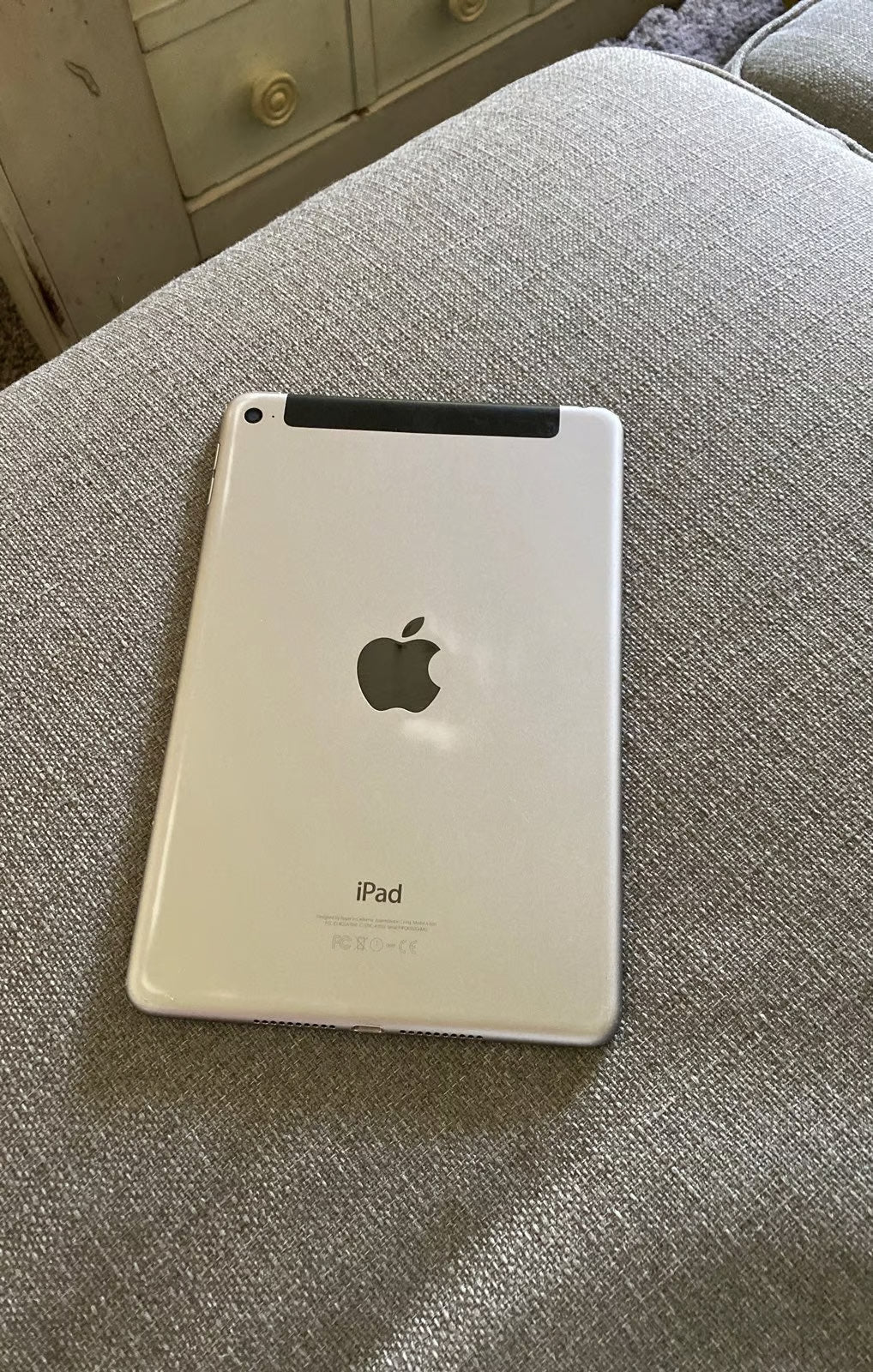 iPad mini 4th generation 3V28