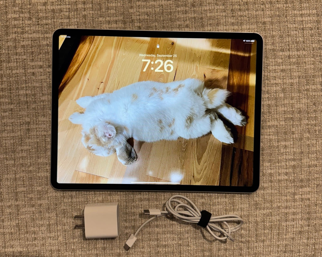 Apple iPad Pro 12.9�?4th Gen 256gb WiFi + Cellular Unlocked 5A95