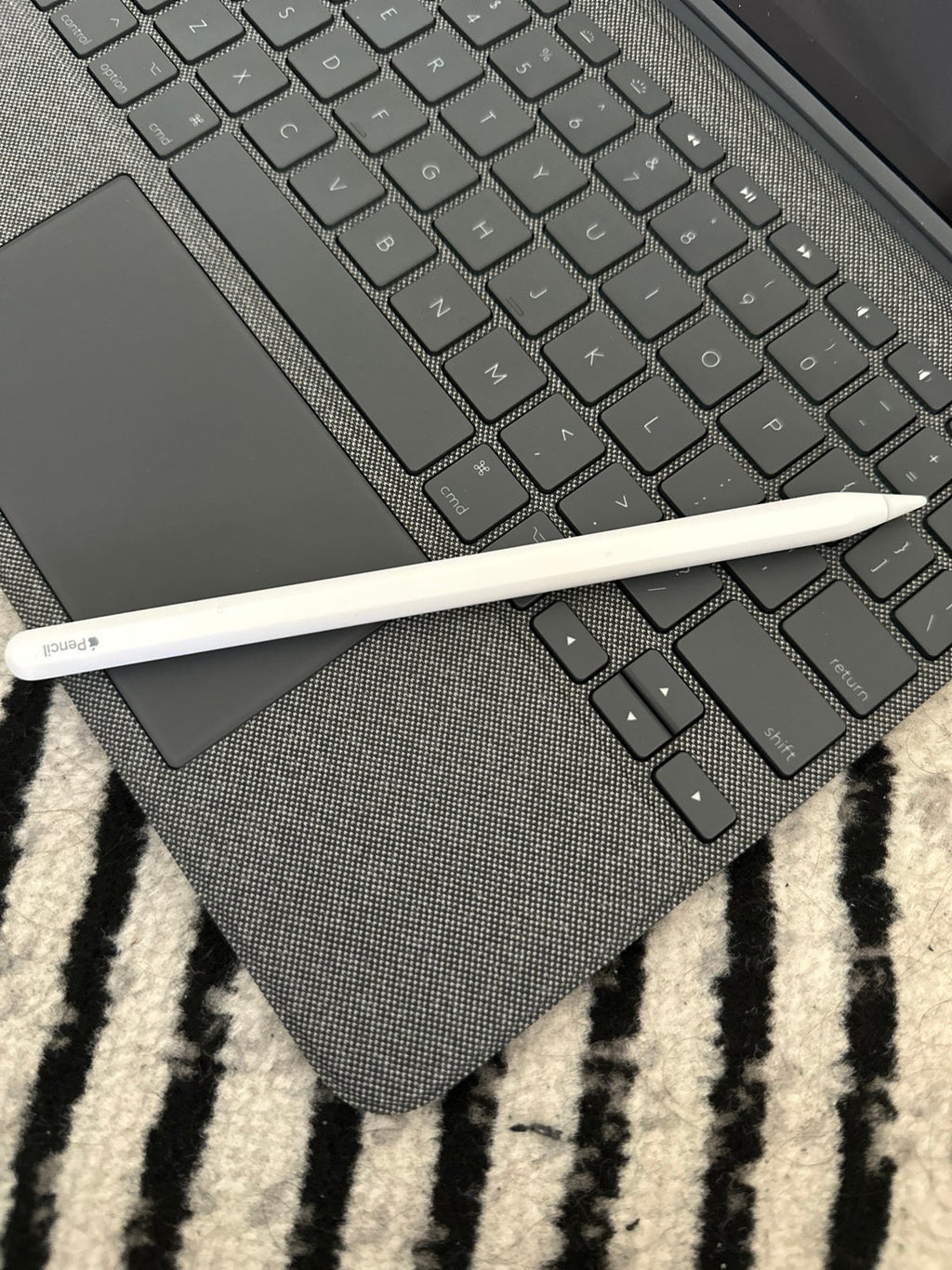 Apple iPad Pro 11 inch 4th Generation 128 GB M2 Chip w Acessories 2E88