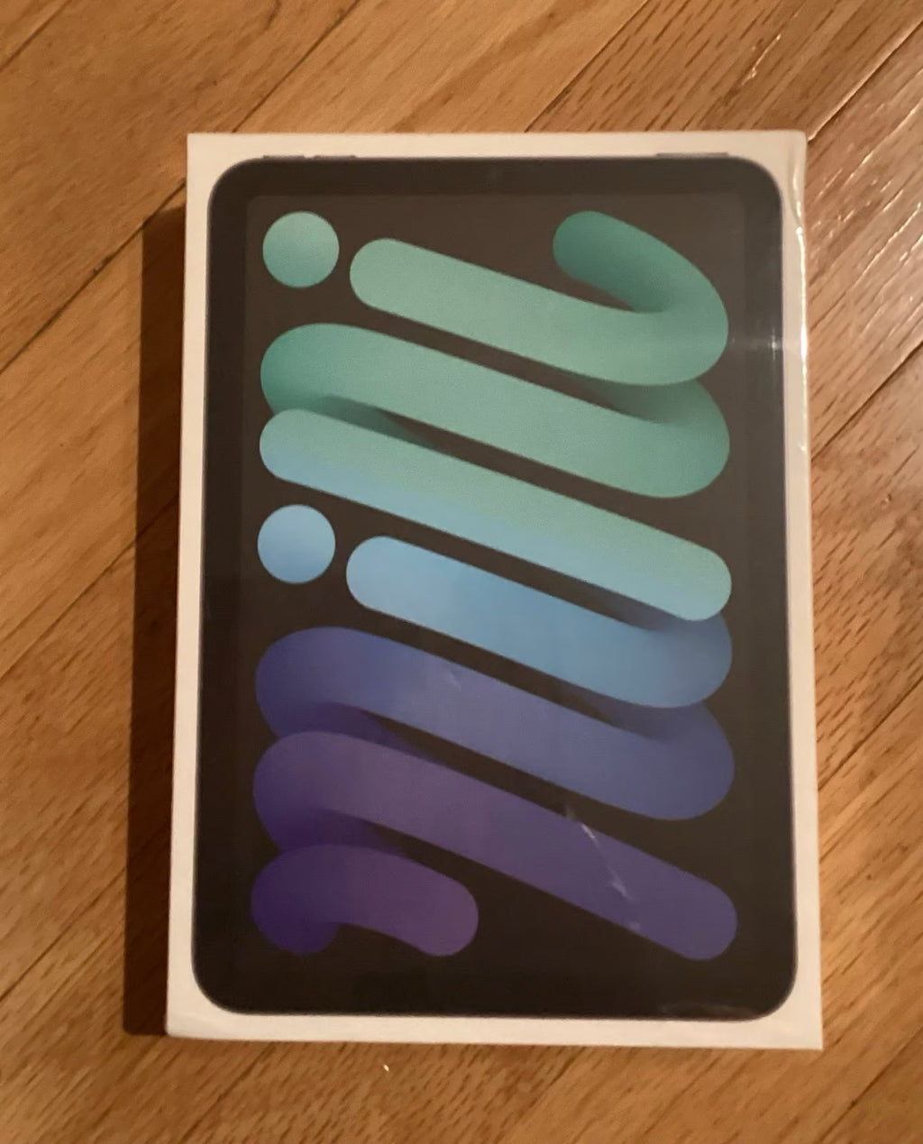 Brand-new iPad Mini 256GB 6th Generation 2U83