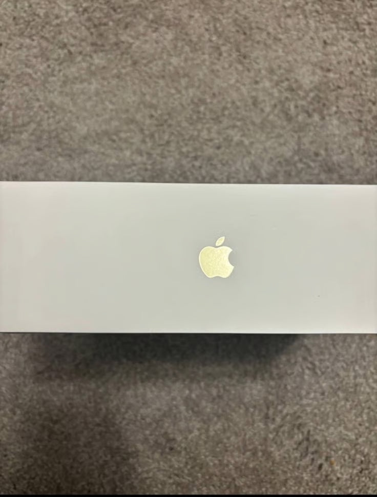 AirPod max鈥檚 starlight gen 2 1S16