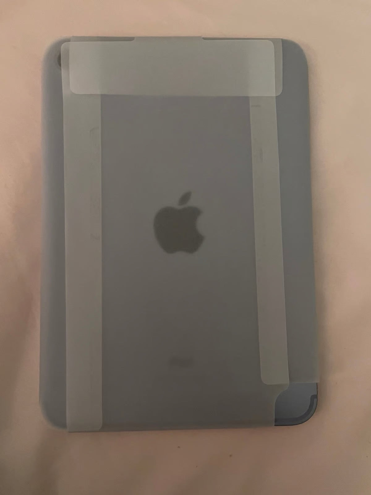 Apple iPad Mini 6th Generation 256 GB in Purple 5Q89