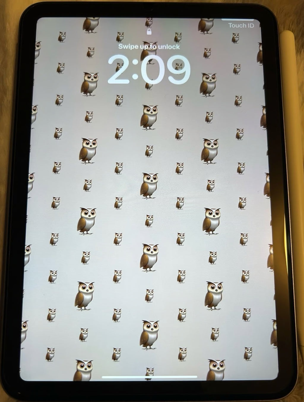 The Cutest IPad Mini 2A12