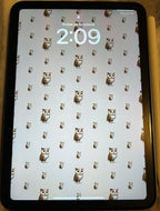 The Cutest IPad Mini 2A12