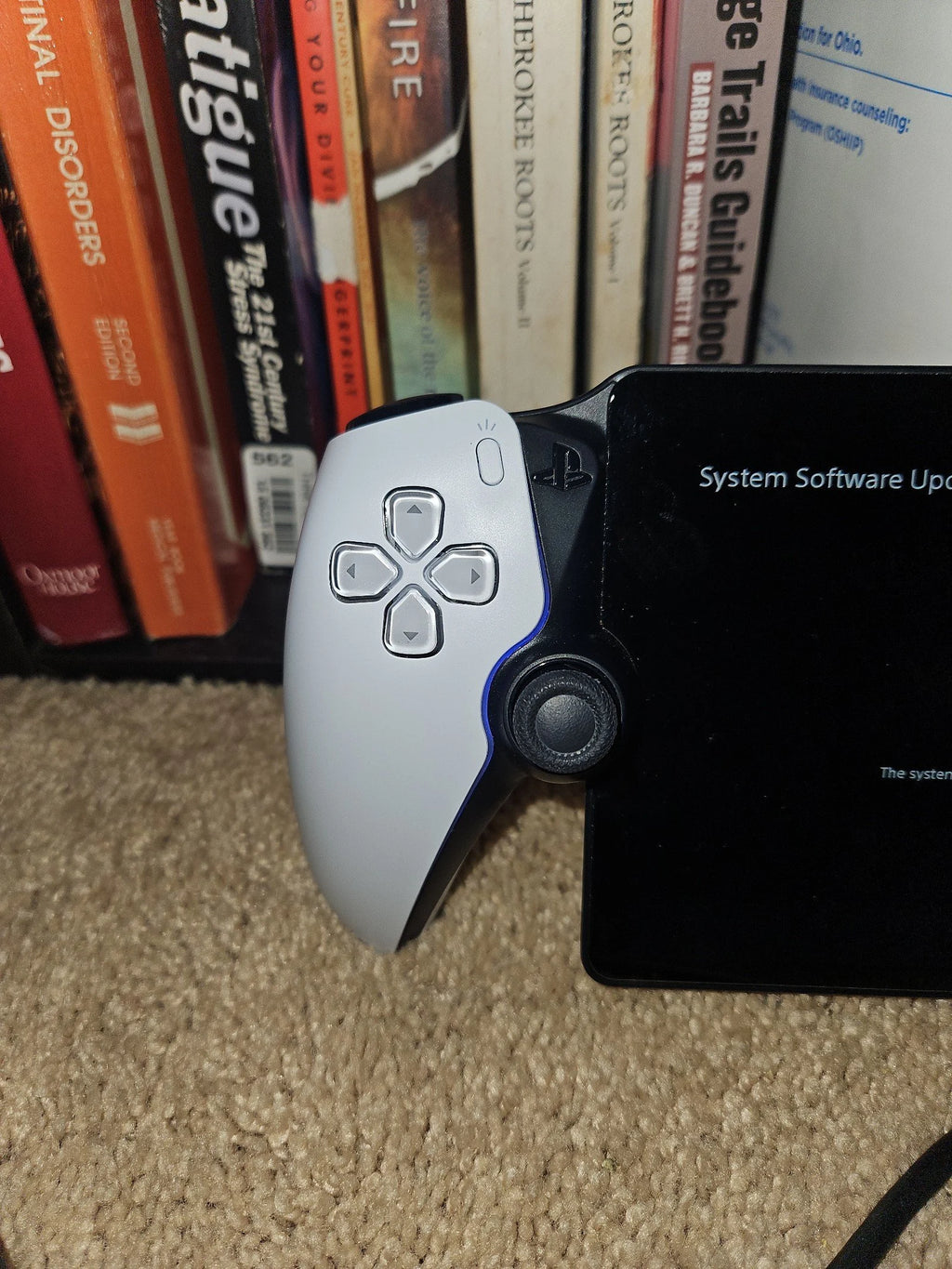 PlayStation portal remote player 8A87