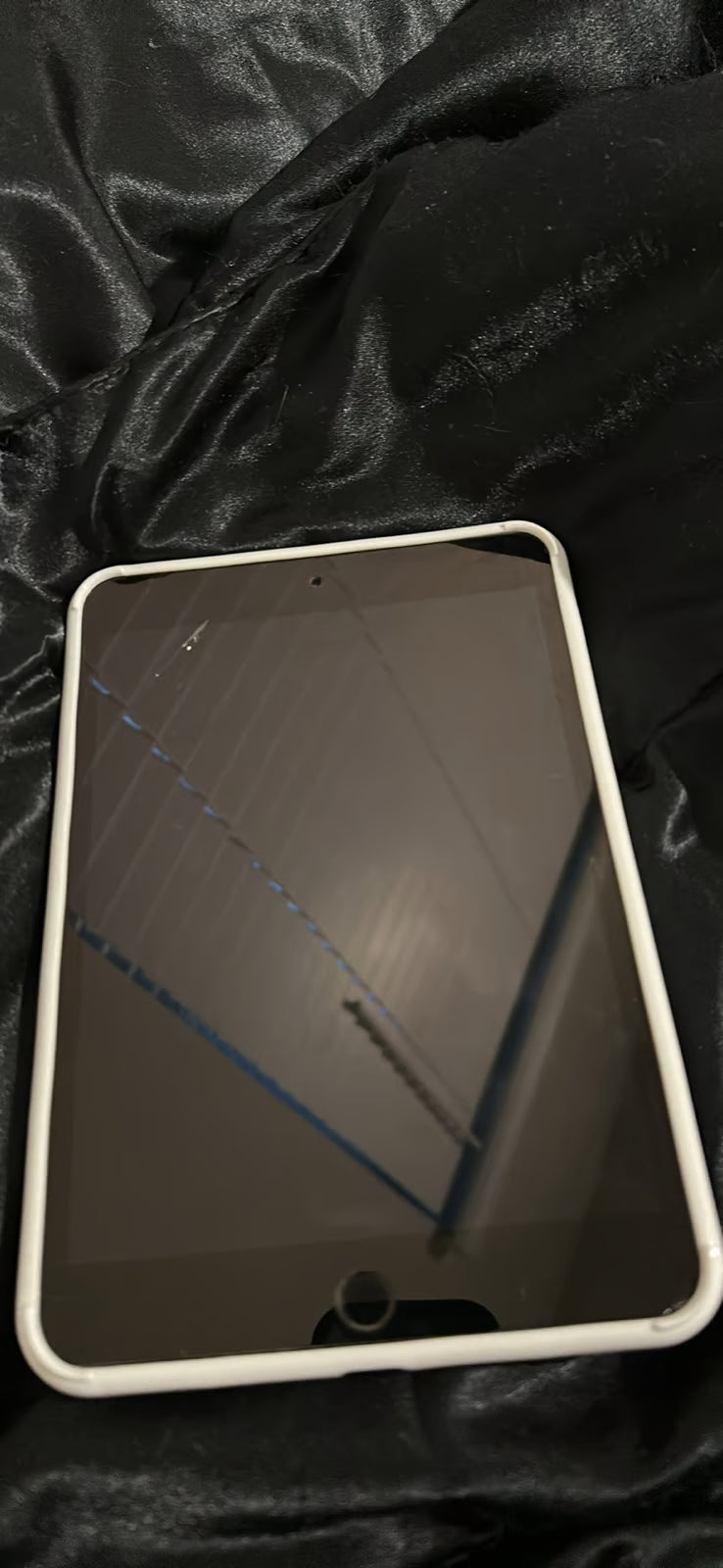 iPad Mini 1G97