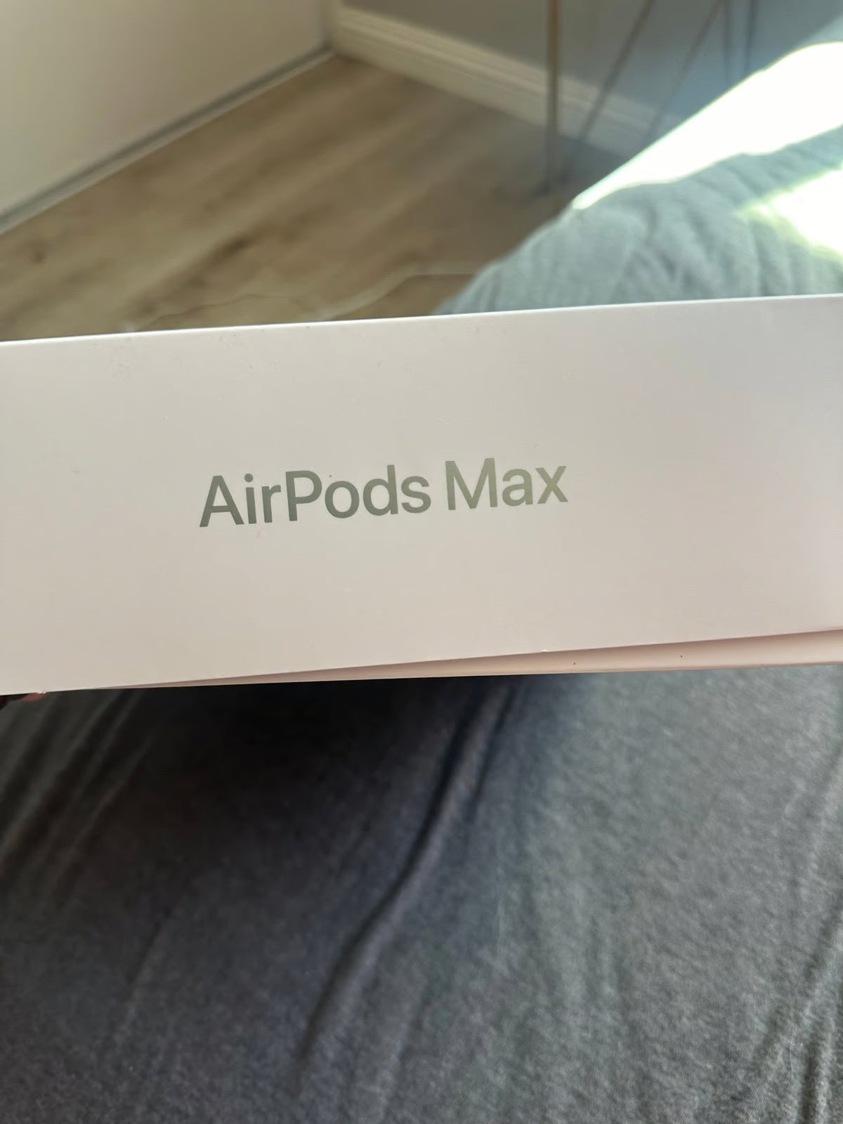 Apple airpod max 2D82