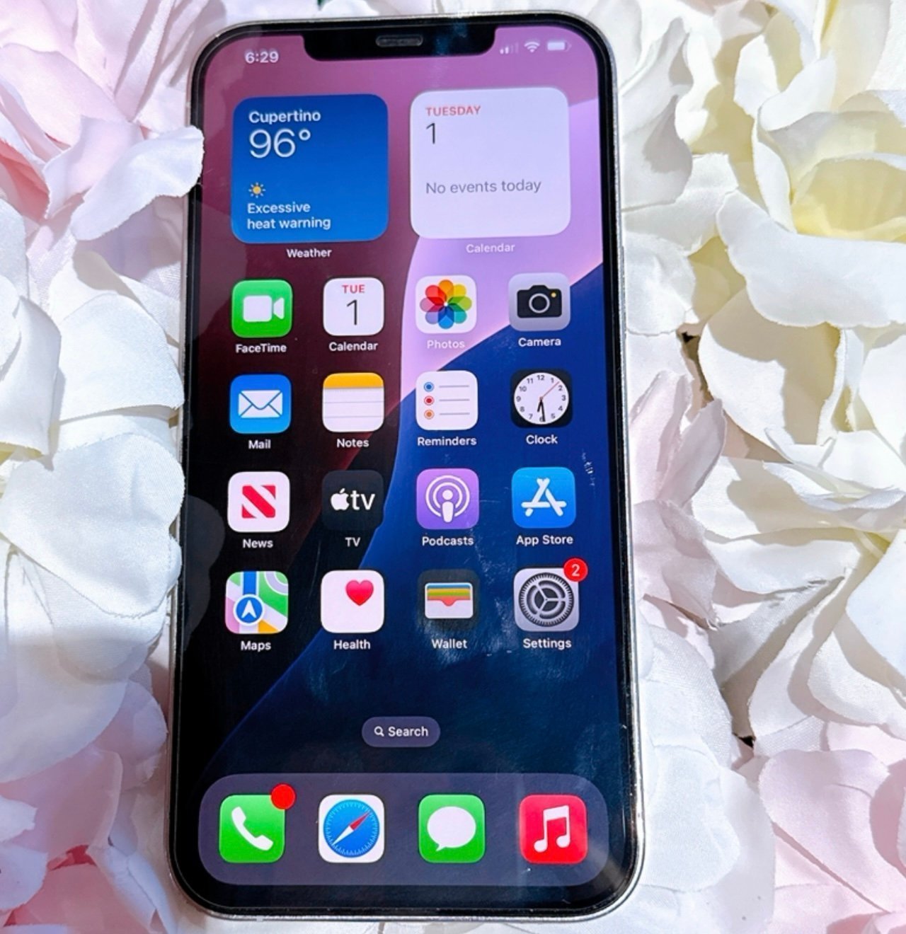 Apple iPhone 12 Pro Max 256 GB in Silver White Unlocked 2P11