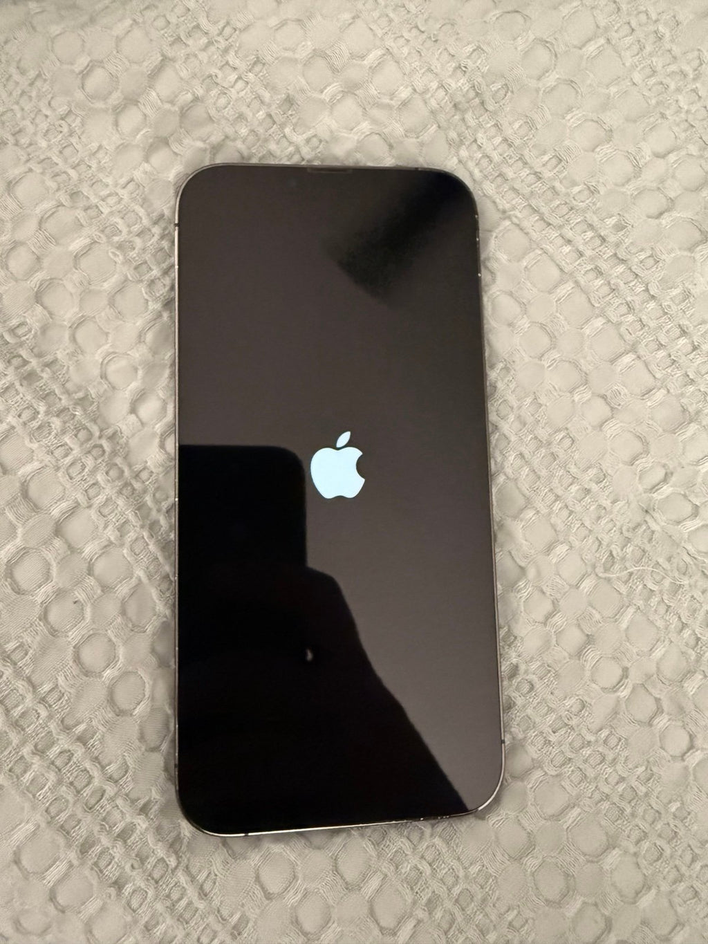 iPhone 13 pro max unlocked 6R28