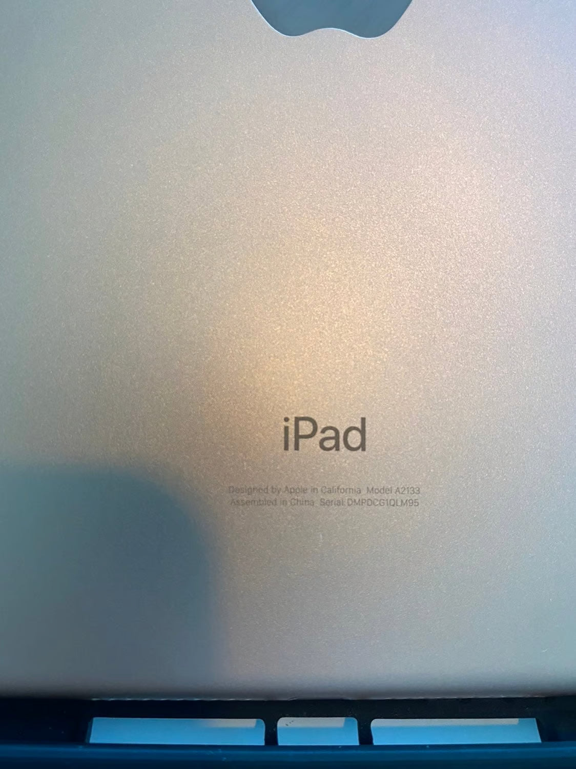 Apple iPad Mini 5th Generation 2S21