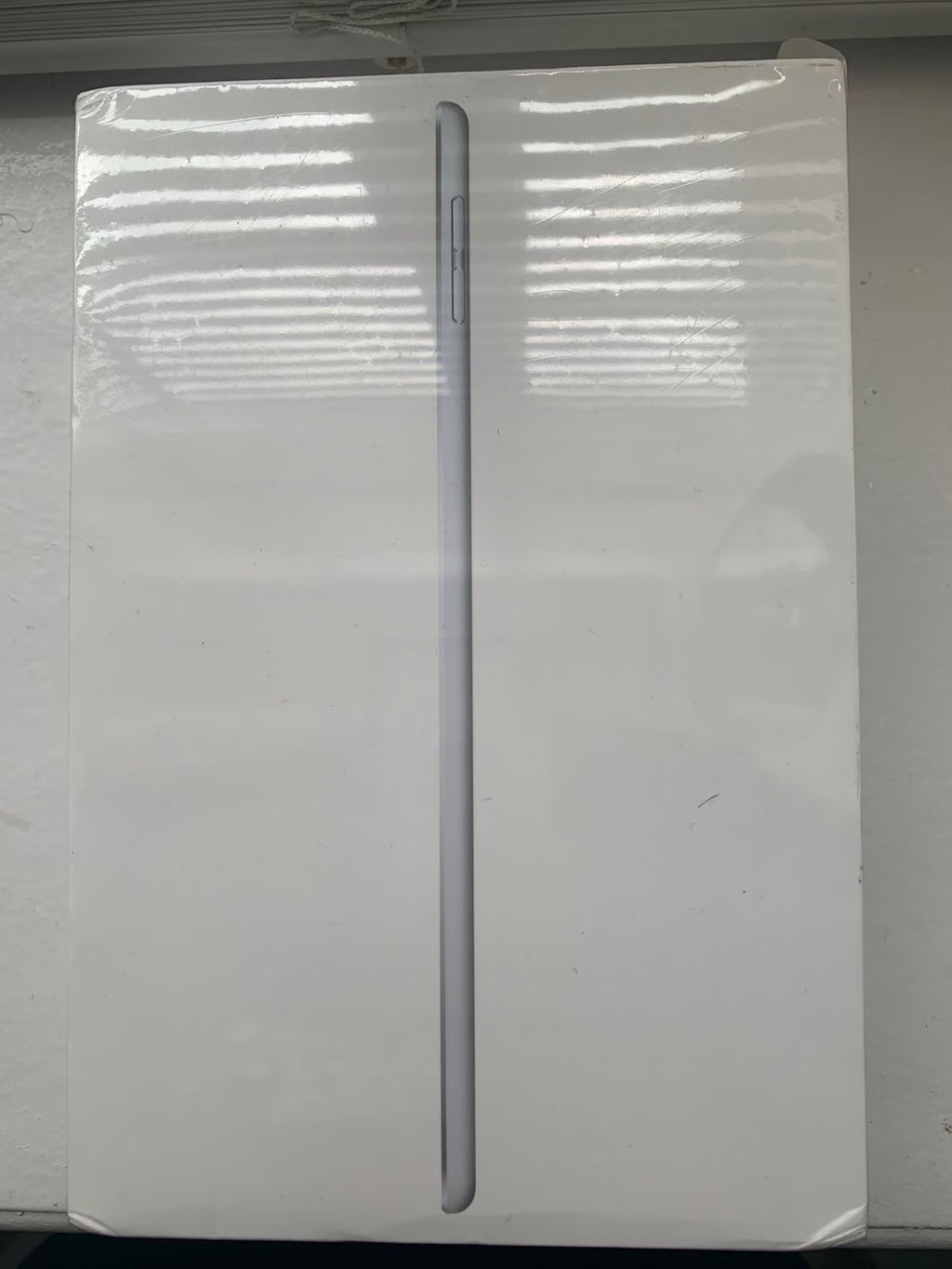 iPad mini 5th generation 7V87